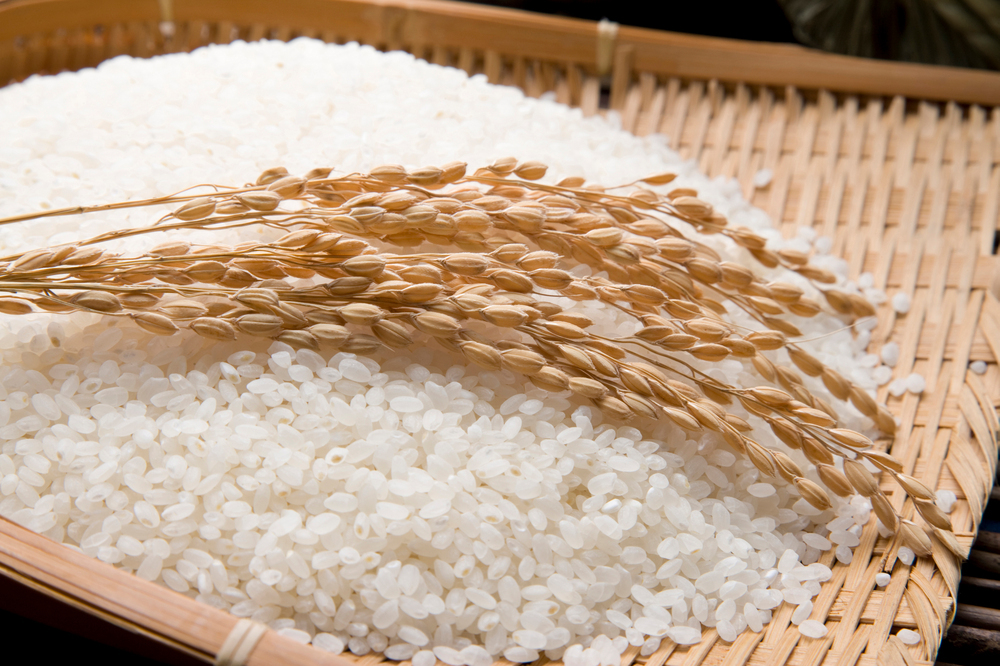 Rice-P PDRN